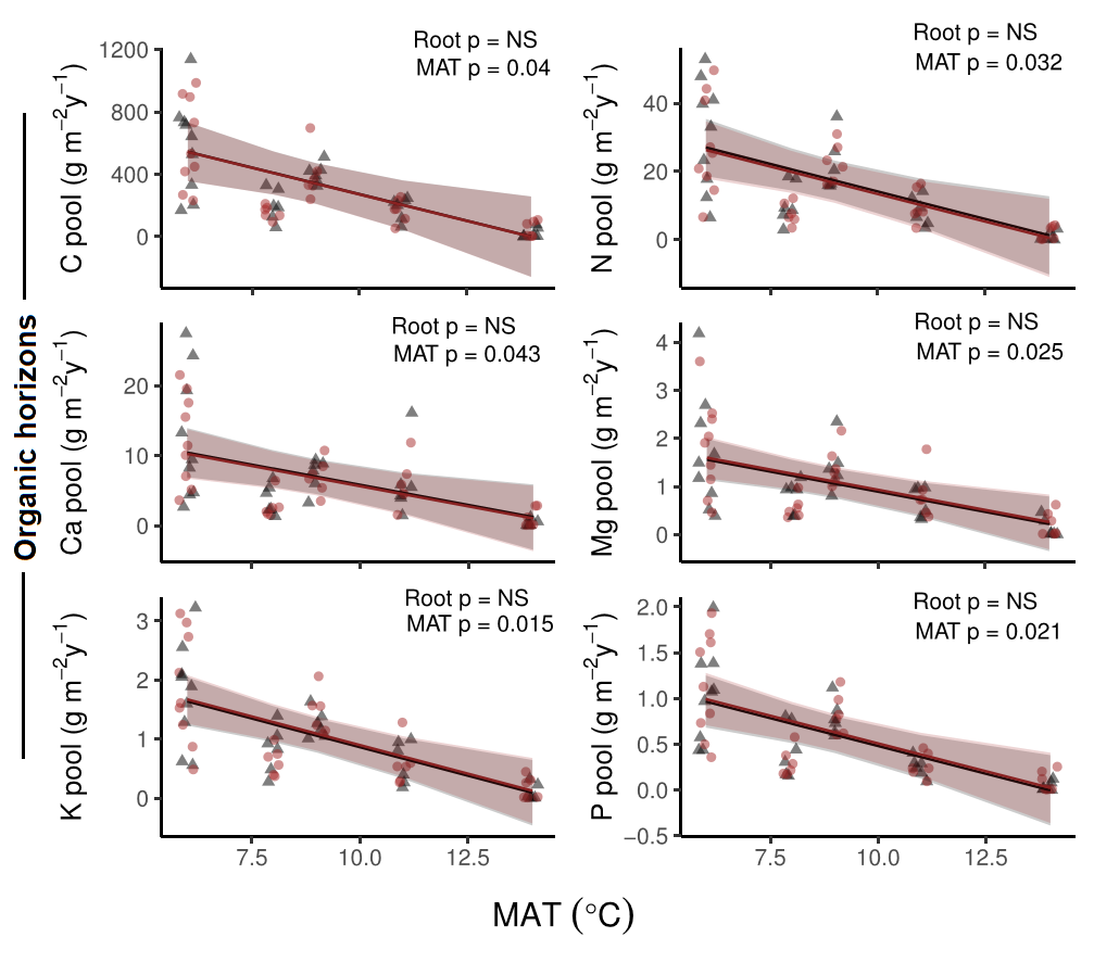 Changes in organic horizon pools with mean annual temperature after 4 years of soil development.
