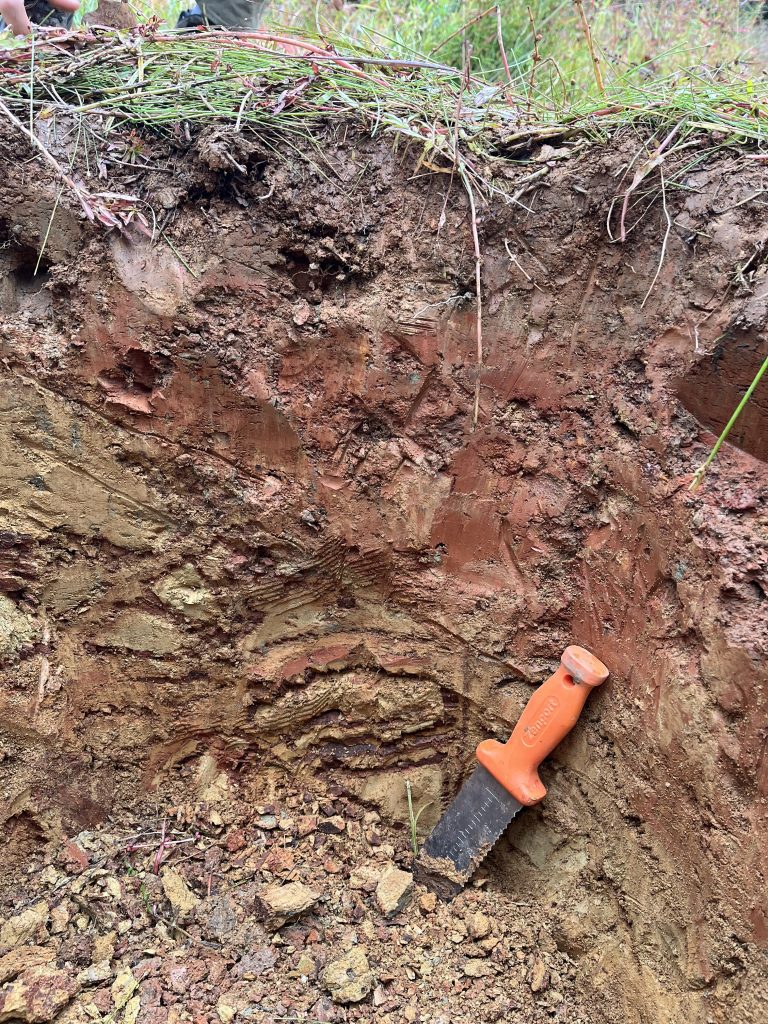 Human altered kanhapludult from terracing a slope. New epipedon formed since late 1700s.