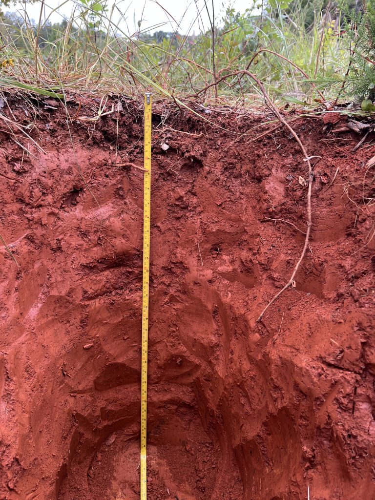 Rhodoudult soil in central Virginia