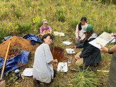 Soil color and texture in the field.