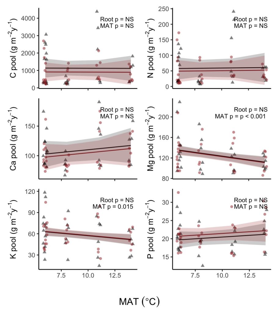 mineral soil carbon and nutrient pools