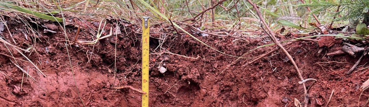 Soil Biogeochemistry – Trace Metals and Nutrients