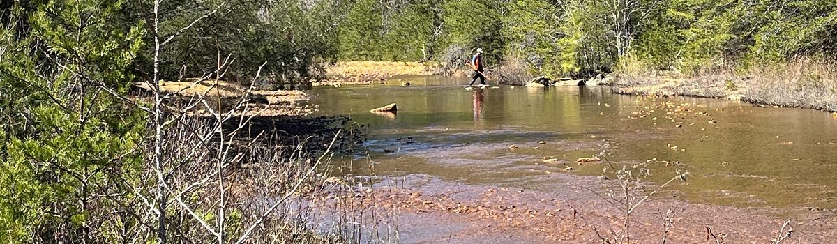 Soil Biogeochemistry – Trace Metals and Nutrients