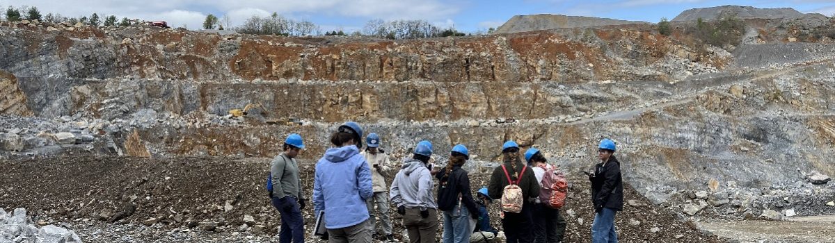 Soil Biogeochemistry – Trace Metals and Nutrients