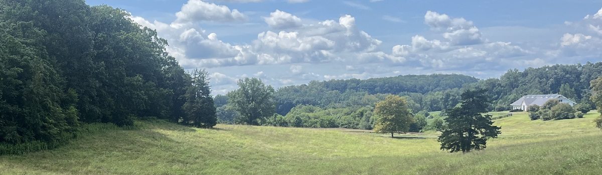 Soil Biogeochemistry – Trace Metals and Nutrients