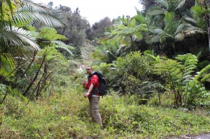 Andres Aguirre conquering a Luquillo CZO landslide