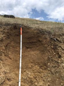 California San Dimas weathering soil profile