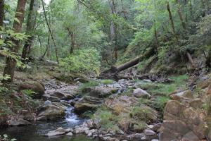 Eel River-Elder Creek river