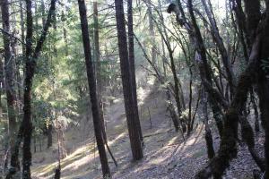 Eel River-Elder Creek slope