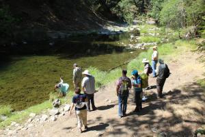 Eel River-Fox run creek fish