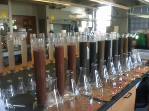 Soil particle size analyses   