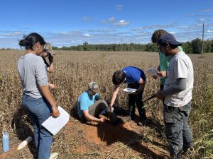 Soil pit in Soybean field at University of Virginia