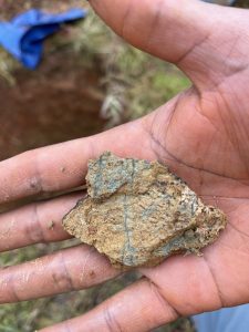 Redoximorphic features