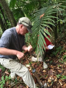 Lou Derry working hard to collect soil lysimeter water