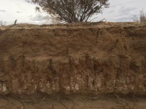 Richardson - Columnar soil structure in Adelanto California