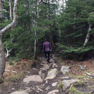 Trail erosion on Cascade Mountain